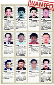 中文版红色通缉令上部分外逃人员信息整理/吴飞 制图/张佳琪